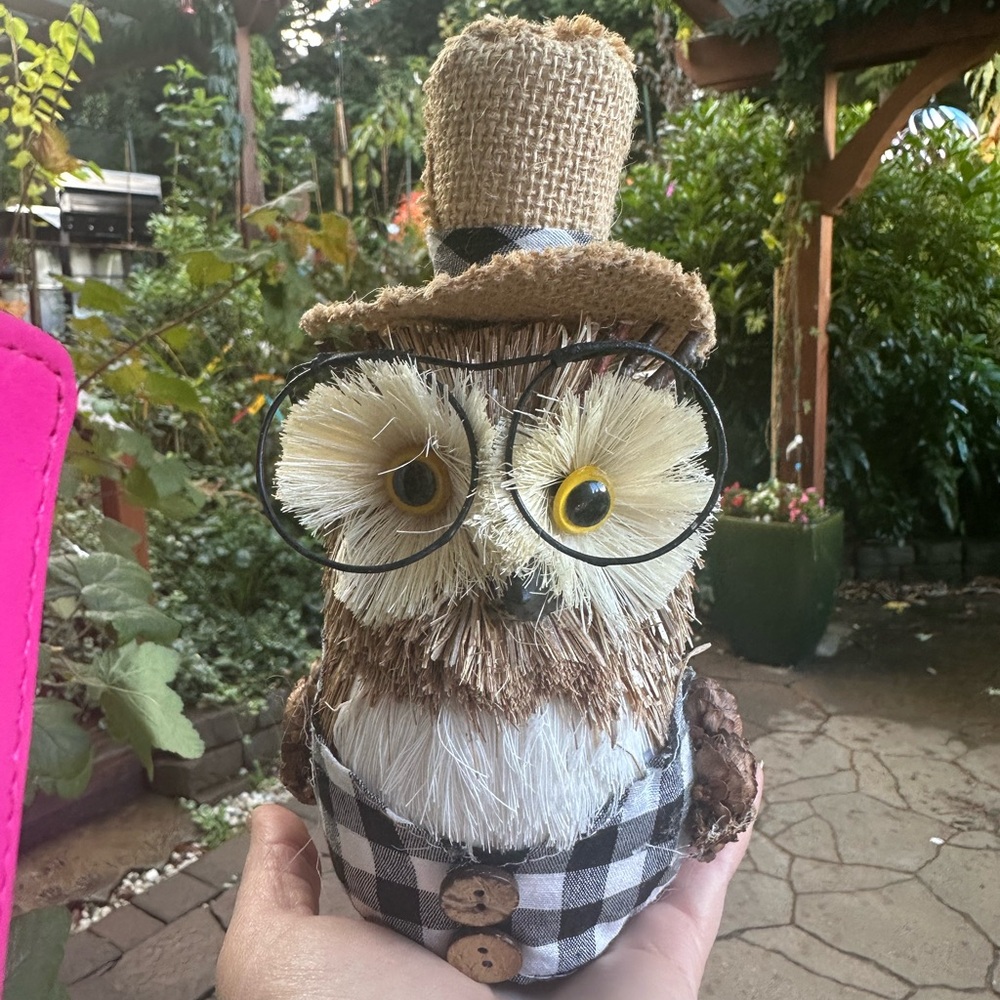 Hobby Lobby Burlap Owl with Glasses - Brown and Black